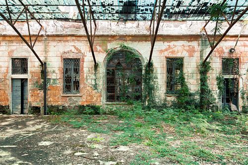 Grüne Hölle - Verlassenes Internat von Times of Impermanence