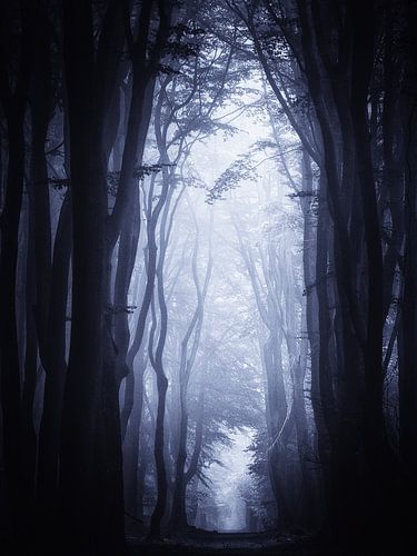 Cold flame by Tvurk Photography