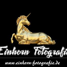 Einhorn Fotografie profielfoto