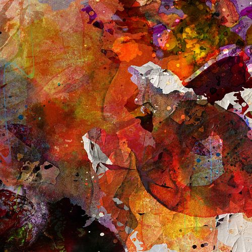 Het lied van de vreugde