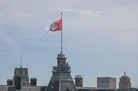 Feyenoord Rotterdam flag at the City Hall during the celebration at the Coolsingel by MS Fotografie | Marc van der Stelt thumbnail