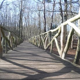 Brücke von Jerzy Beerepoot