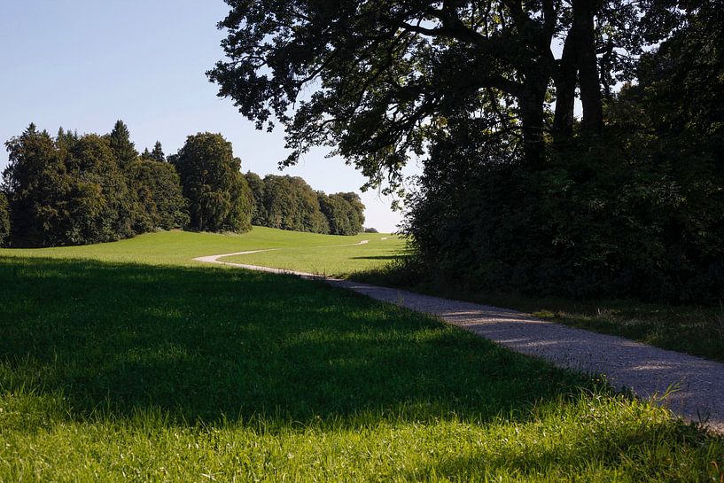 Schöner Weg von Thomas Jäger