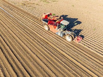 Aardappelen rooien in een veld met een rooimachine