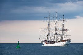 Segelschiff auf der Hanse Sail in Rostock