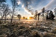 Lever du soleil sur la bruyère par René Vierhuis Aperçu