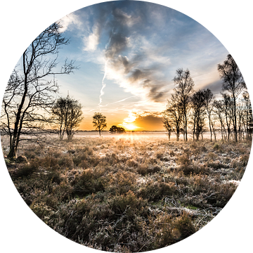 Zonsopkomst Nunspeter heide