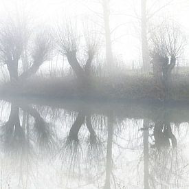 Three pollarded willows on the lake shore with reflection in the by Maren Winter