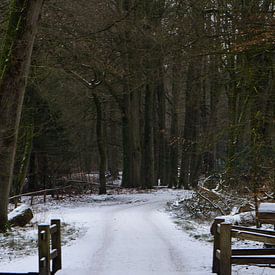Ee brug in een winters bos van Gerard de Zwaan