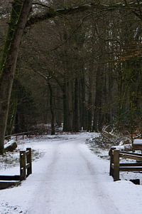 Ee brug in een winters bos