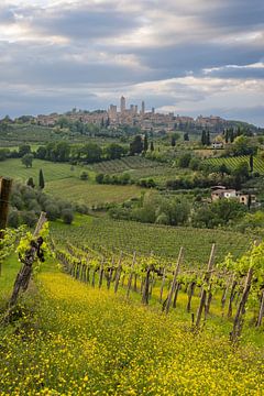 Frühling bei San Gimignano in der Toskana von Walter G. Allgöwer