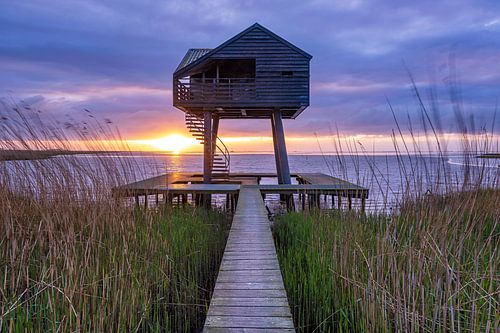 Bird-watching hut De Kiekkaaste near Nieuwe Statenzijl in Groningen