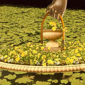 Aus den Tiefen von True Color Stories