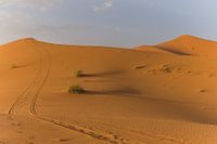 Reis naar de Sahara woestijn in Marokko