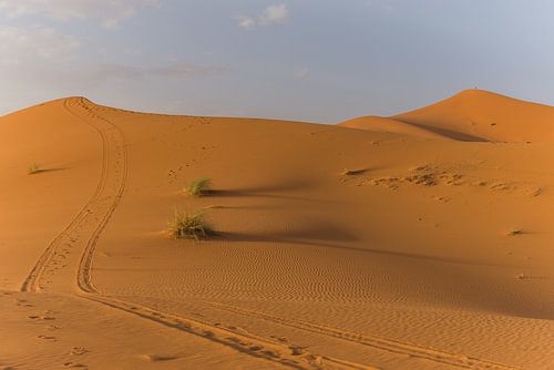 Reis naar de Sahara woestijn in Marokko