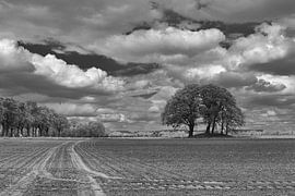 Grave mound between Borger and Drouwen in black and white