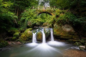 Mullerthal, Luxemburg Zwitserland, Luxemburg van Alexander Ludwig