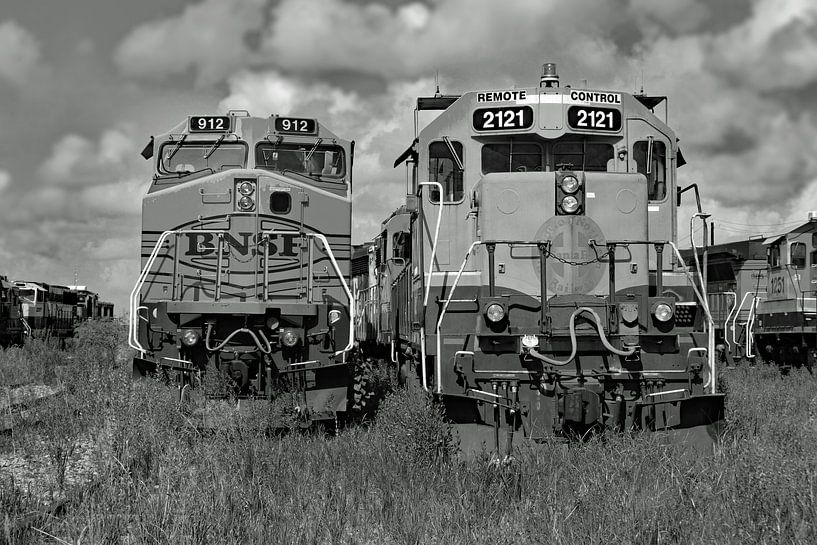 Train locomotives Santa Fe by Willem van Holten