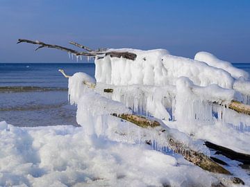 Frozen van Jörg Hausmann