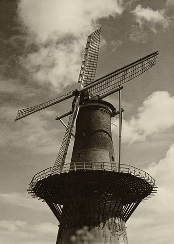 Korenmolen De Noord Rotterdam