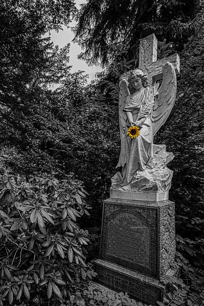 Auf dem Friedhof von Thomas Riess