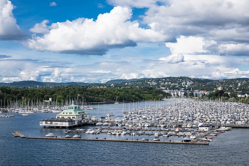 View to Oslo van Rico Ködder