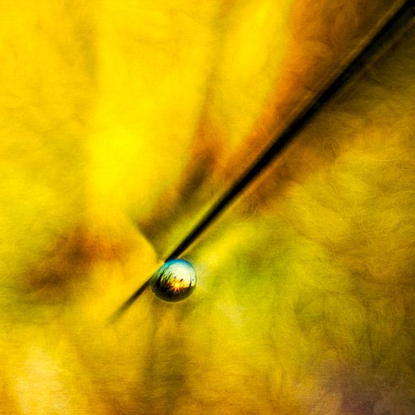 The world in a drop by Dick Jeukens