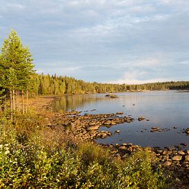 Bij de rivier Pite Älven in de herfst van Karin Jähne