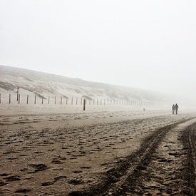 Mist van Tamara de Koning