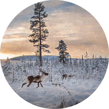 Rendieren in een winters landschap van Marco Lodder