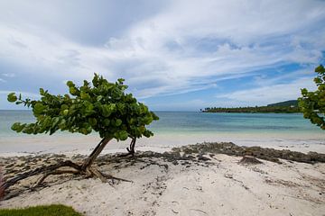Tropical beach by Bettina Schnittert