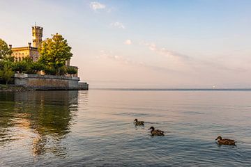 Schloss Montfort in Langenargen am Bodensee