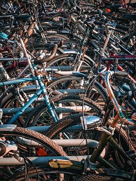 Ordeverstoring - een beeld vol verhalen van Max Steinwald