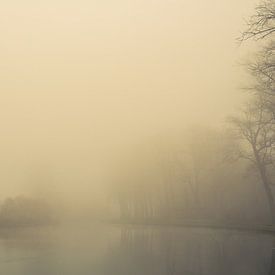 Het ontwaken van bomen in het ochtendlicht. Monochroom. van Femke den Hollander