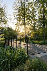 Sunlit Vlassenbroek Spring Landscape Belgium by Imladris Images