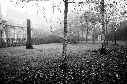 Garden of hedgehogs, Haarlem