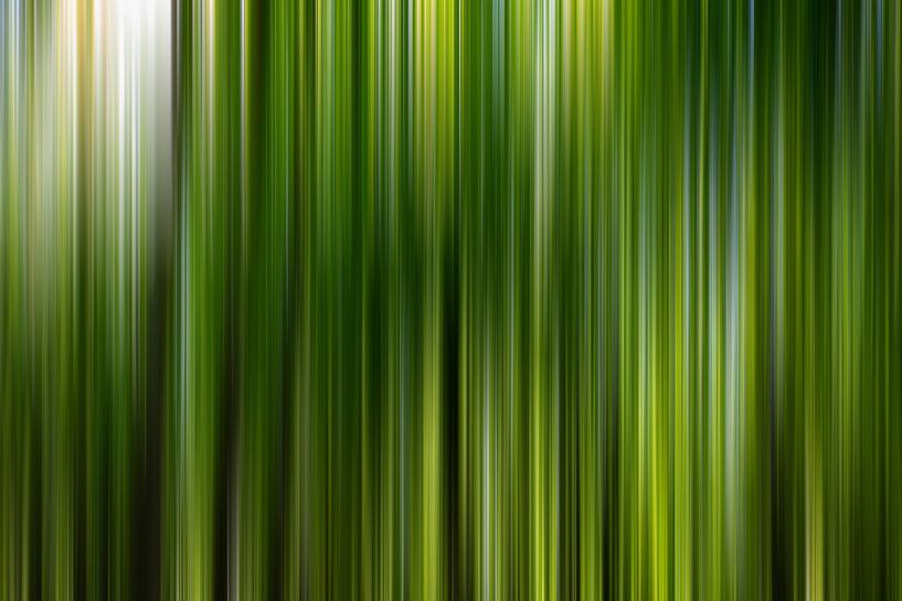 Bos abstract II,  ICM van Yanuschka | Fotografie Noordwijk