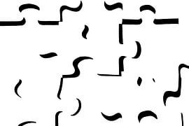 Only shadows (alleen schaduwen) van Marjolijn van den Berg