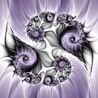 Purple Illusion