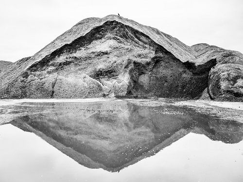 Vogel op een berg