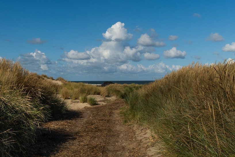 Terschelling by Annette van Dijk-Leek