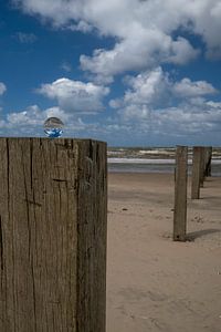 Objektivkugel am Strandpfahl der Nordsee