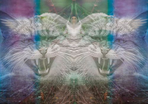 Boos over de situatie