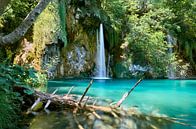 Paradijselijke waterval in Kroatië van Tim Wong thumbnail