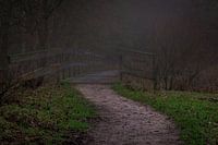 Mistig wandelpad..
