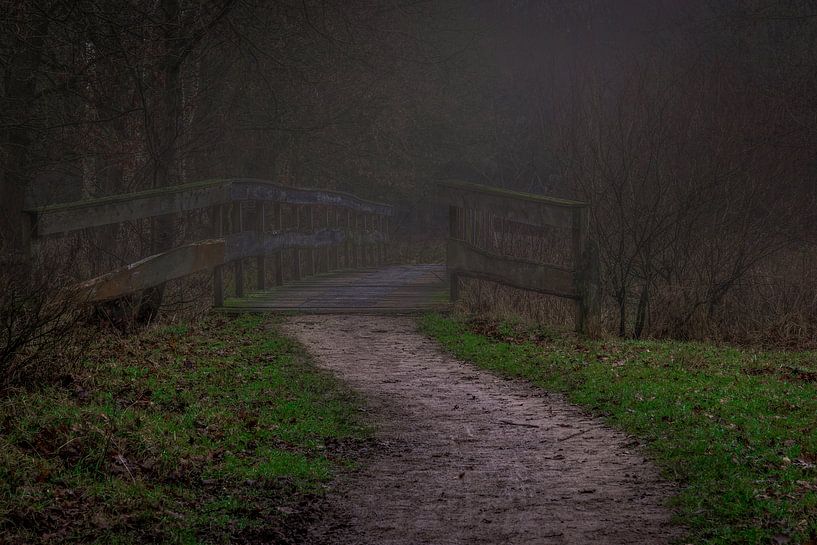 Pfad im Nebel von Bertram Bergink