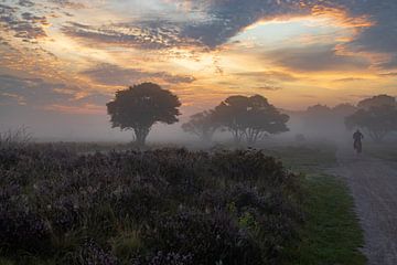 Misty Morning Heather field van Klaas Doting