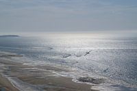 Cap blanc nez