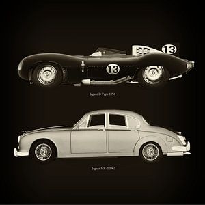 Jaguar D Type 1956 und Jaguar MK-2 1963 von Jan Keteleer