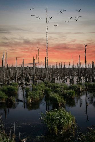 Zonsopgang in de Peene Vallei